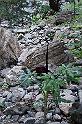 DSC06916