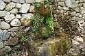 DSC06924