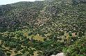 DSC06941