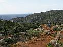 IMG_0133