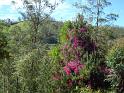 DSC00519