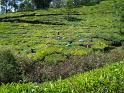 DSC00537