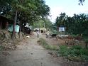 DSC00604