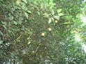 DSC00725