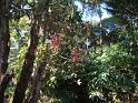 DSC00729