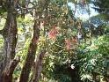 DSC00730