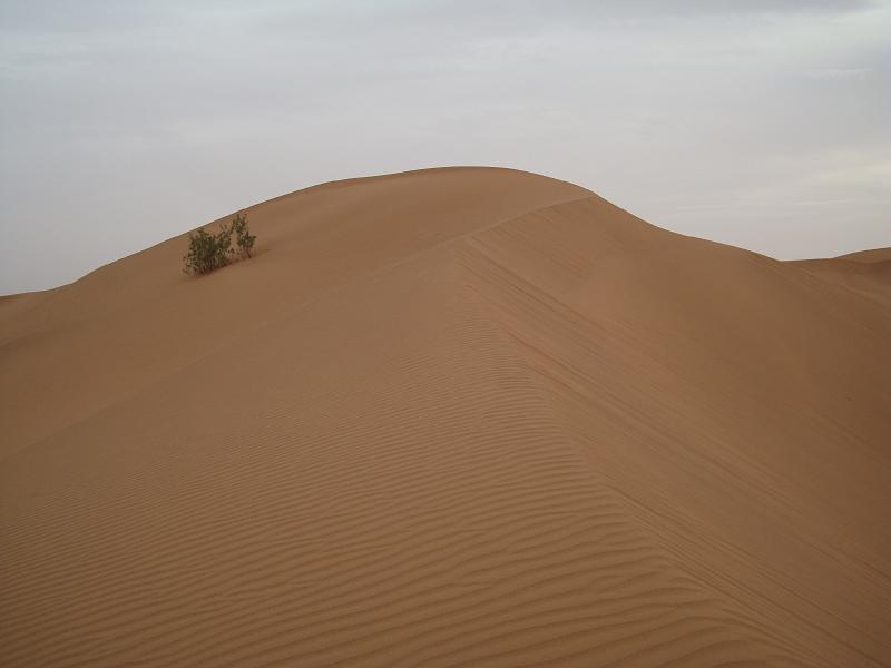 DSC05579.JPG - la première dune