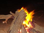 DSC05585
