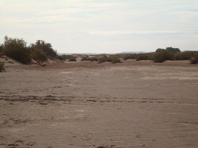 DSC05624.JPG - oued Draa (sans eau ?)