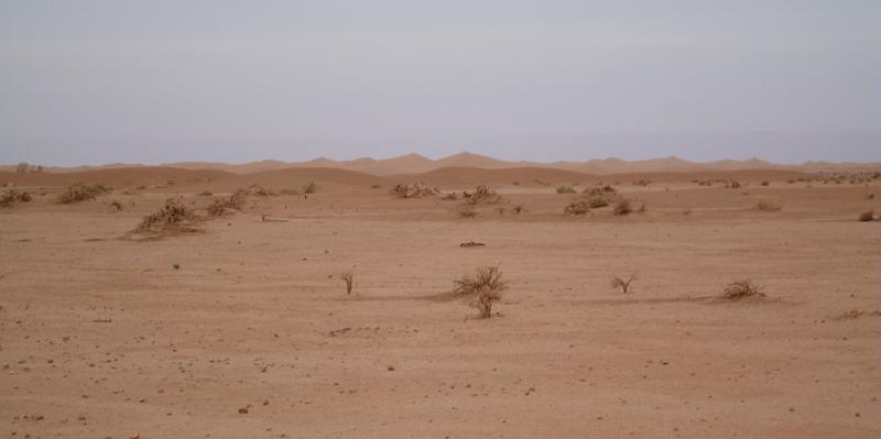 DSC05638.JPG - les dunes de Chigaga se profilent à l'horizon