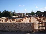 DSC05882
