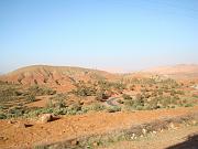DSC05487