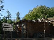DSC05503